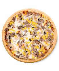 TON BALIKLI PİZZA 1049,3 KCAL